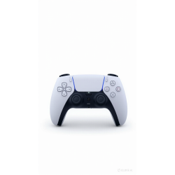 Playstation 5 Joystick